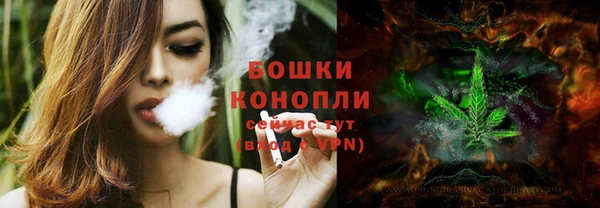 дмт Арсеньев